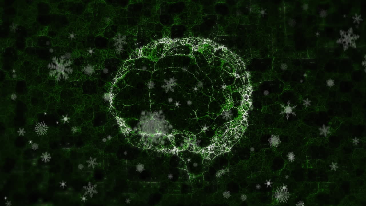 뇌와 크리스마스에 내리는 눈의 애니메이션