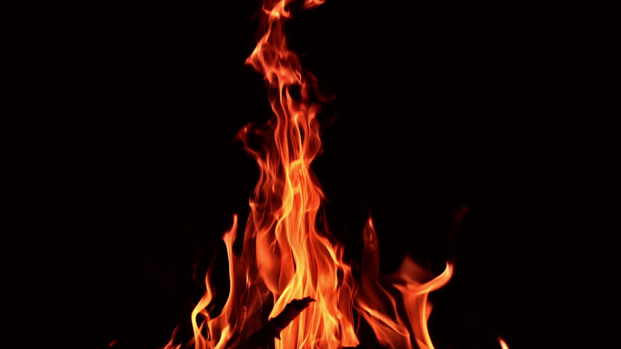 Bastoni di legno che bruciano in un grande falò. Lunghe lingue di fiamma che si estendono in alto nell'aria. Sfondo nero.