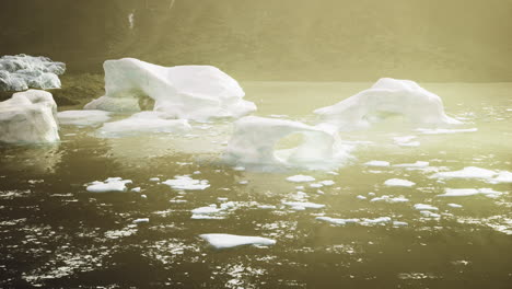 Icebergs floating in a tranquil fjord during sunset in a remote location