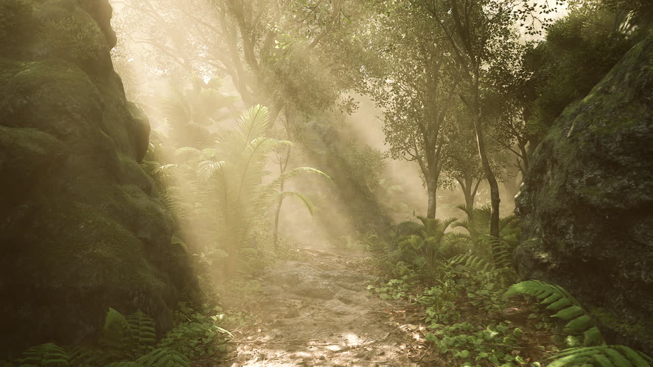 한 열대 정글 의 나무 들 을 가로지르는 빛
