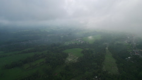 High-angle-drone-tilt-shot-of-terraced-rice-fields-in-Bali-on-a-cloudy-day