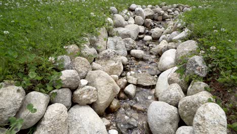 small water stream with large stones, nature background loop