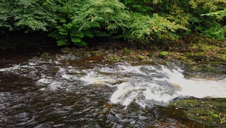 Close-up-of-the-river-Tavy-flowing-over-large-boulders-in-the-water-after-flowing-through-the-town-of-Tavistock-in-the-English-county-of-Devon