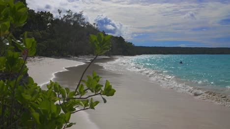 The-camera-focuses-on-a-tropical-plant-before-panning-to-a-beach-with-people-swimming-and-walking-on-the-sand-during-the-day,-the-crystal-clear-water-creating-a-paradise-like-atmosphere