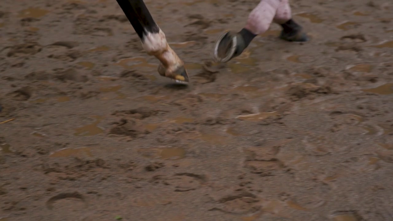 Uno scatto crudo a bordo pista che mostra un cavallo da corsa purosangue che cammina lungo una pista di terra bagnata e fangosa, sottolineando il fango pesante che si accumula sulle sue zampe e zoccoli dopo una gara o un allenamento in condizioni di pioggia