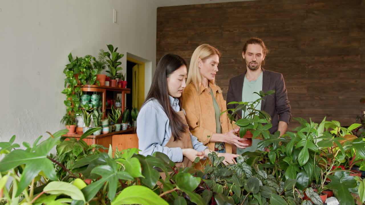 clientes que eligen plantas en una tienda de plantas