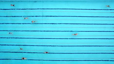 swimmers practice in swimming pool winter. aerial shot