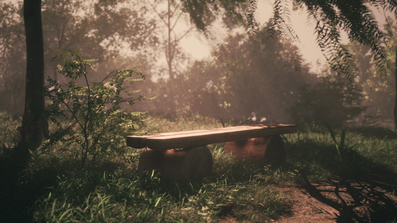 Peaceful wooden bench surrounded by greenery in the soft morning light