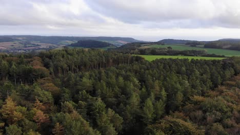 Disparo-De-Paralaje-Aéreo-De-árboles-En-La-Cima-De-East-Hill-Con-Vistas-Hacia-Sidmouth-Devon,-Inglaterra