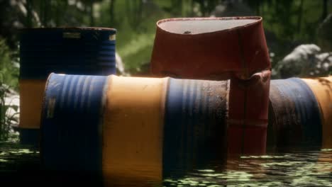 rusty barrels in green forest