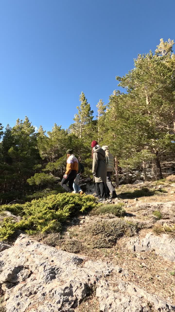 persone che fanno un'escursione in una foresta
