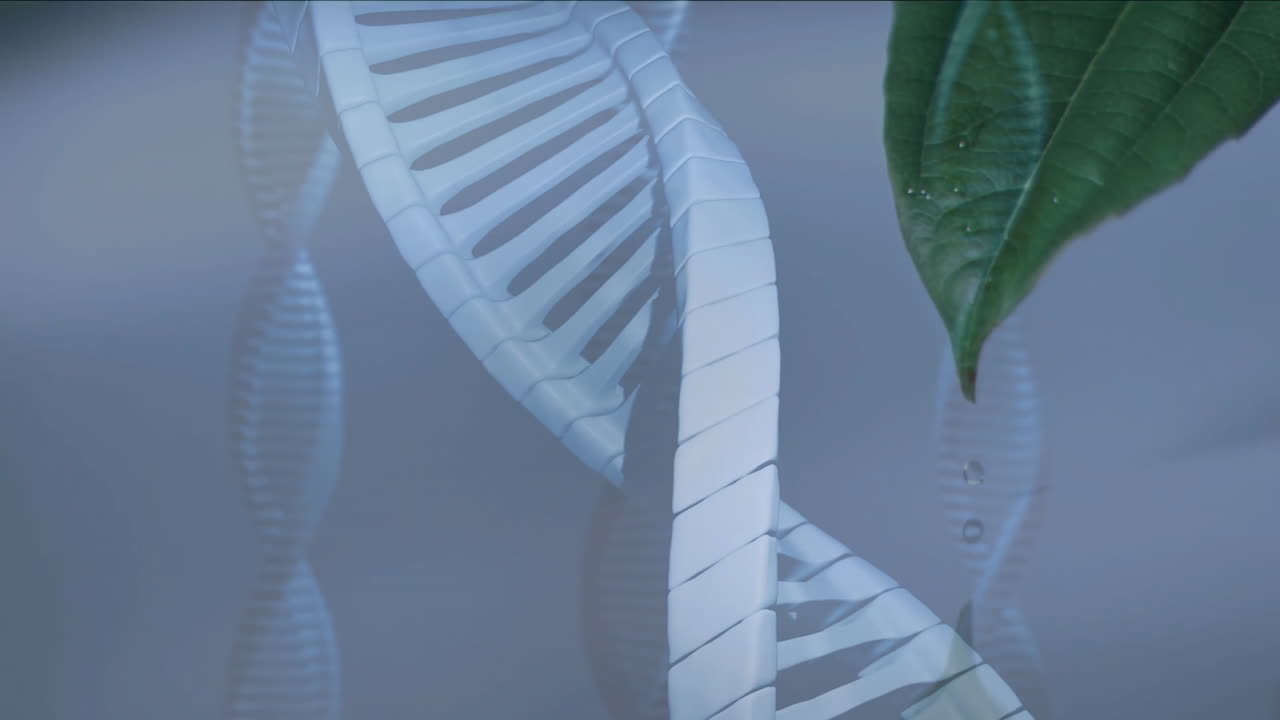Intertwining DNA strand with green leaf, symbolizing science and nature connection