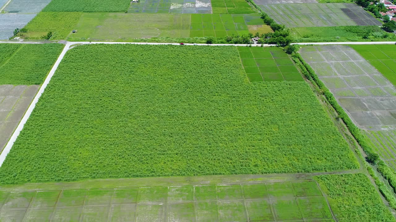 Aerial Shot Of A Beautiful Green Farm With Small Roads Beside It