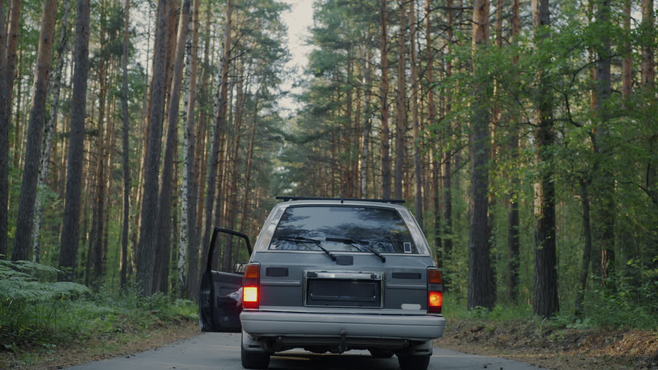 Auto d'epoca grigia su una strada nel bosco