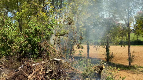 Un-Montón-De-Cepillo-Ardiente-Que-Arroja-Humo-Y-Cenizas-Negras-Al-Cielo