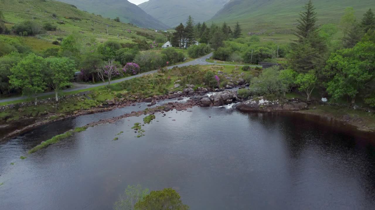 한 그루의 나무와 무성한 계곡을 배경으로 한 섬의 공중 전망