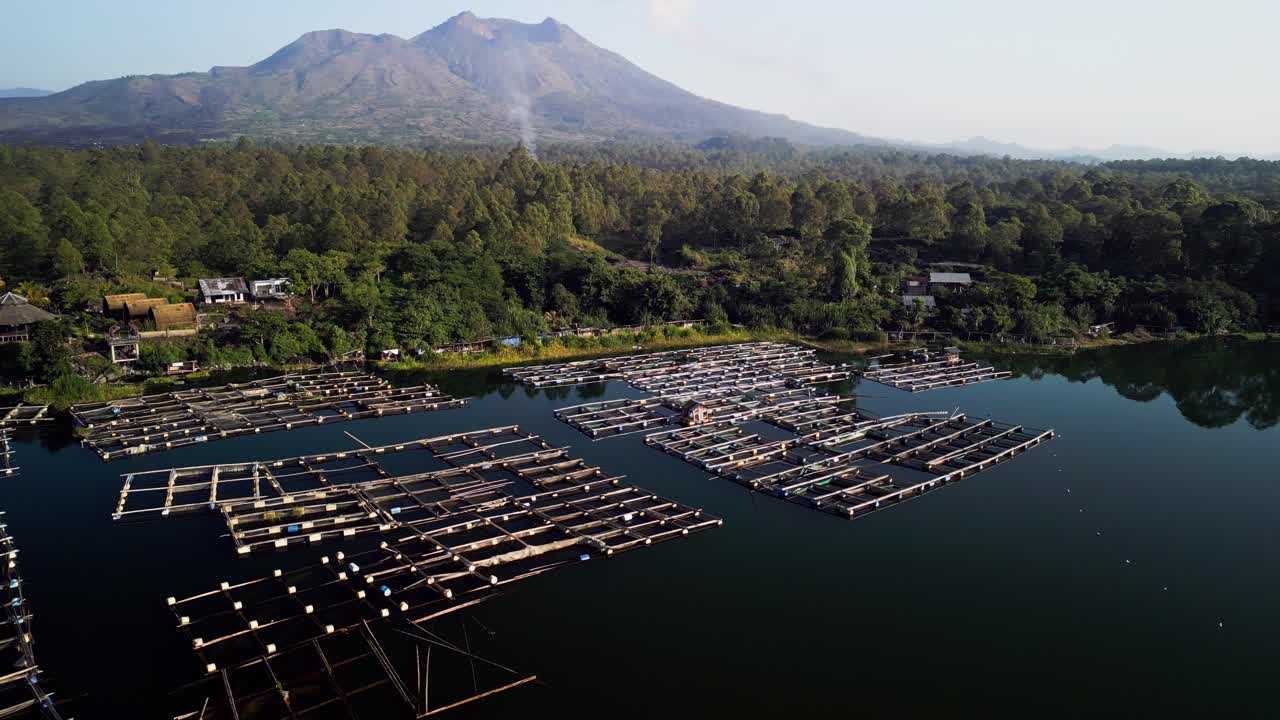Aerial drone footage above Lake Batur showing floating fish farming platforms, calm water surface, forested shoreline and Mount Batur volcano rising behind a peaceful rural landscape in Bali Indonesia