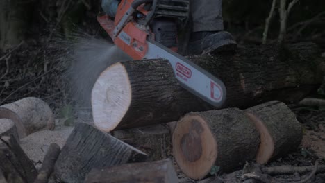 man cutting felled tree chainsaw mid shot