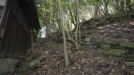 Bosque-En-Japón-Con-Viejos-Escalones-De-Piedra-De-Una-Casa-Abandonada