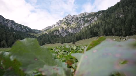 Senderismo-Por-Los-Alpes-Julianos-En-El-Parque-Nacional-Triglav-En-Eslovenia