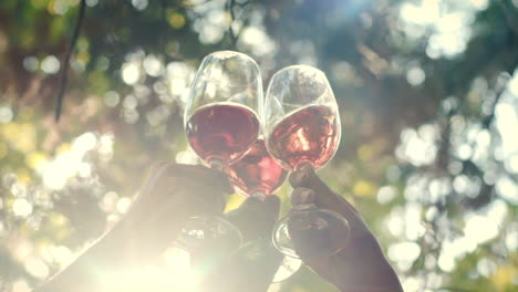 toasting with rosé wine glasses on a sunny day in slow motion