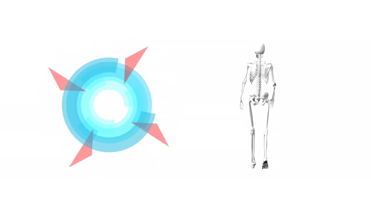 ⁇  배경 에 걸어 다니는 둥근 스 ⁇  스캐너 와 인간 골격 의 디지털 애니메이션