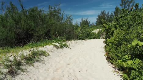 Beach-like-trails-that-connects-to-Bermuda-South-Shore-beaches