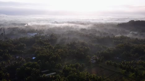 Vista-Aérea-Del-Campo-De-Indonesia-En-La-Mañana-Brumosa