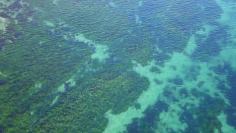 4k aerial view of crystal clear water in malibu, california with santa monica mountains in the background on a sunny day