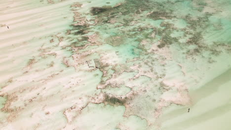 Aerial-view-of-the-crystal-clear-ocean-floor-textures