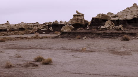 bisti de-na-zin wilderness - ground tracking black soil light top