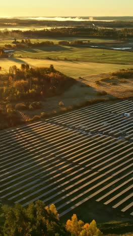 drone view of solar power farm at sunrise with glowing light on countryside, vertical