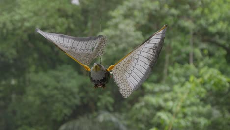 a toy bird with detailed wings spins on a string in the breeze against a lush, green forest backdrop