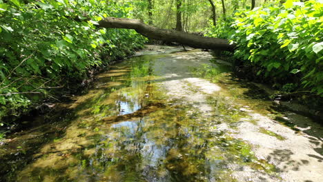 a low angle shot over - along a shallow stream on a sunny day with a drone