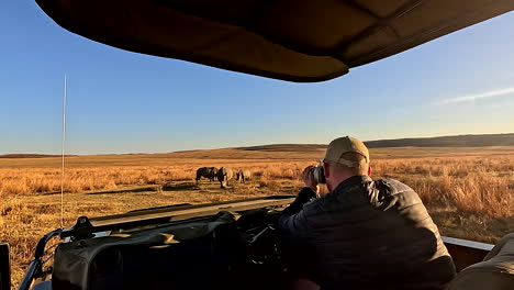 Safari guide take photos for research of endangered white rhinos on reserve