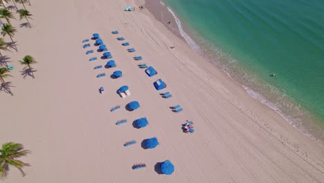 gran toma aérea de palmeras de playa sillas de playa y sombrillas de playa azules agua azul cielo azul palmeras ft