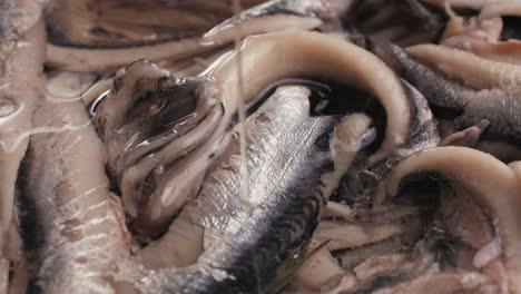 fresh sea sardines and anchovy fish and mullus on display on ice on market store shop. seafood fish background, close up stand of small salty white fish.