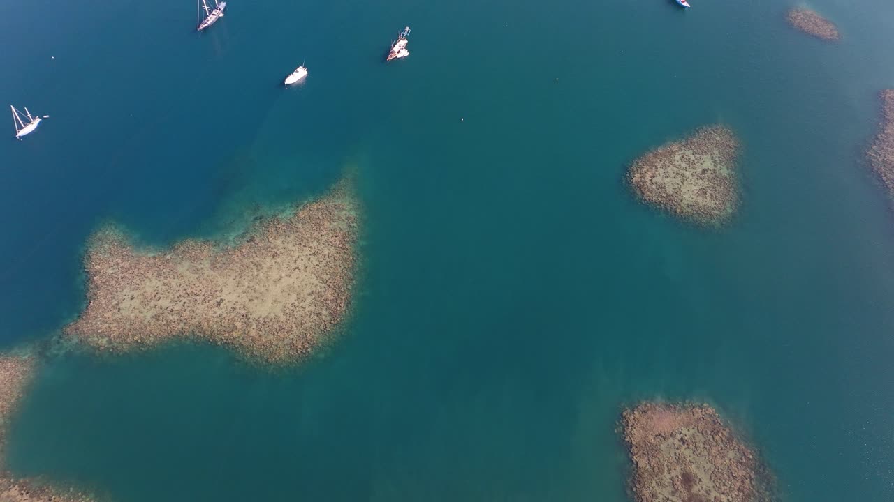 Ripresa drone dall'alto su canali lagunari poco profondi e costa di mangrovie nel Parco Nazionale di Bali Occidentale. Modelli di sedimento, vegetazione costiera e acque tropicali calme in un ecosistema marino protetto.