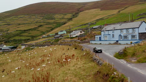 Langsam-Fahrendes-Auto-Auf-Schmaler-Straße-Auf-Dem-Land.-Schafherde,-Die-Auf-Der-Weide-Am-Hang-Weidet.-Einfamilienhäuser-Im-Dorf.-Irland