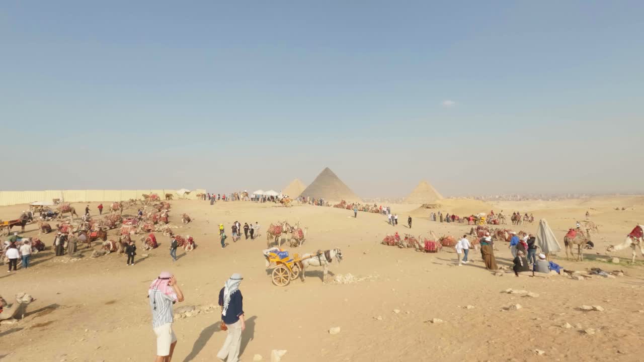 Turisti e cammelli alle Piramidi di Giza in Egitto