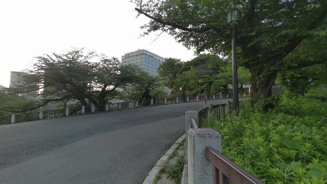 도쿄 치도리가푸치 (tokyo chidorigafuchi) 2022년