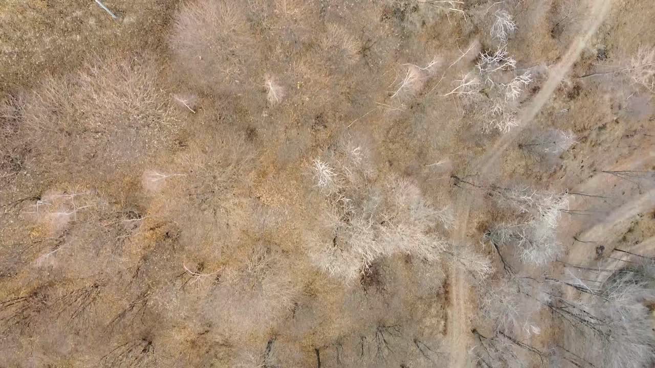 언덕으로 이어지는 모래 길