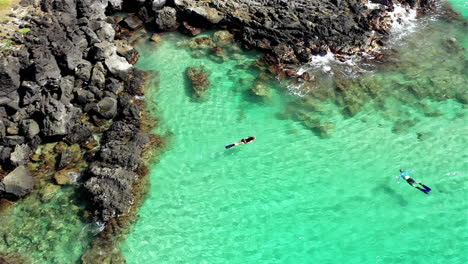 drone footage of a man and woman snorkeling on vacation, off the coast of the big island of hawaii