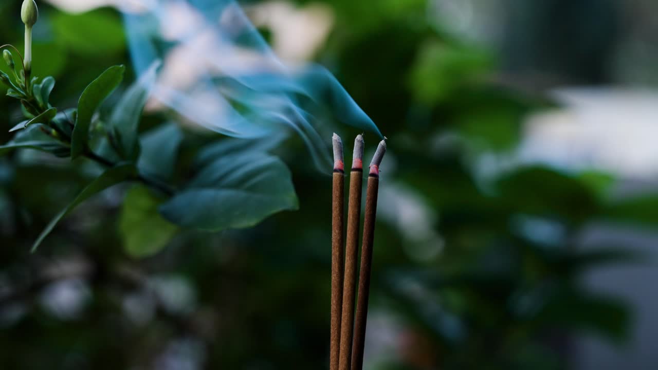 Burning Incense Sticks with Lush Green Leaves in the Background — Calm, Relaxing and Meditative