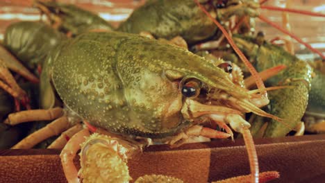 live crayfish on a wooden table