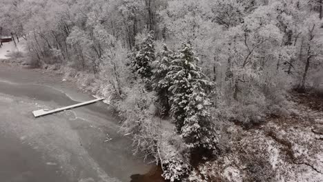 winter lake reveal from tree