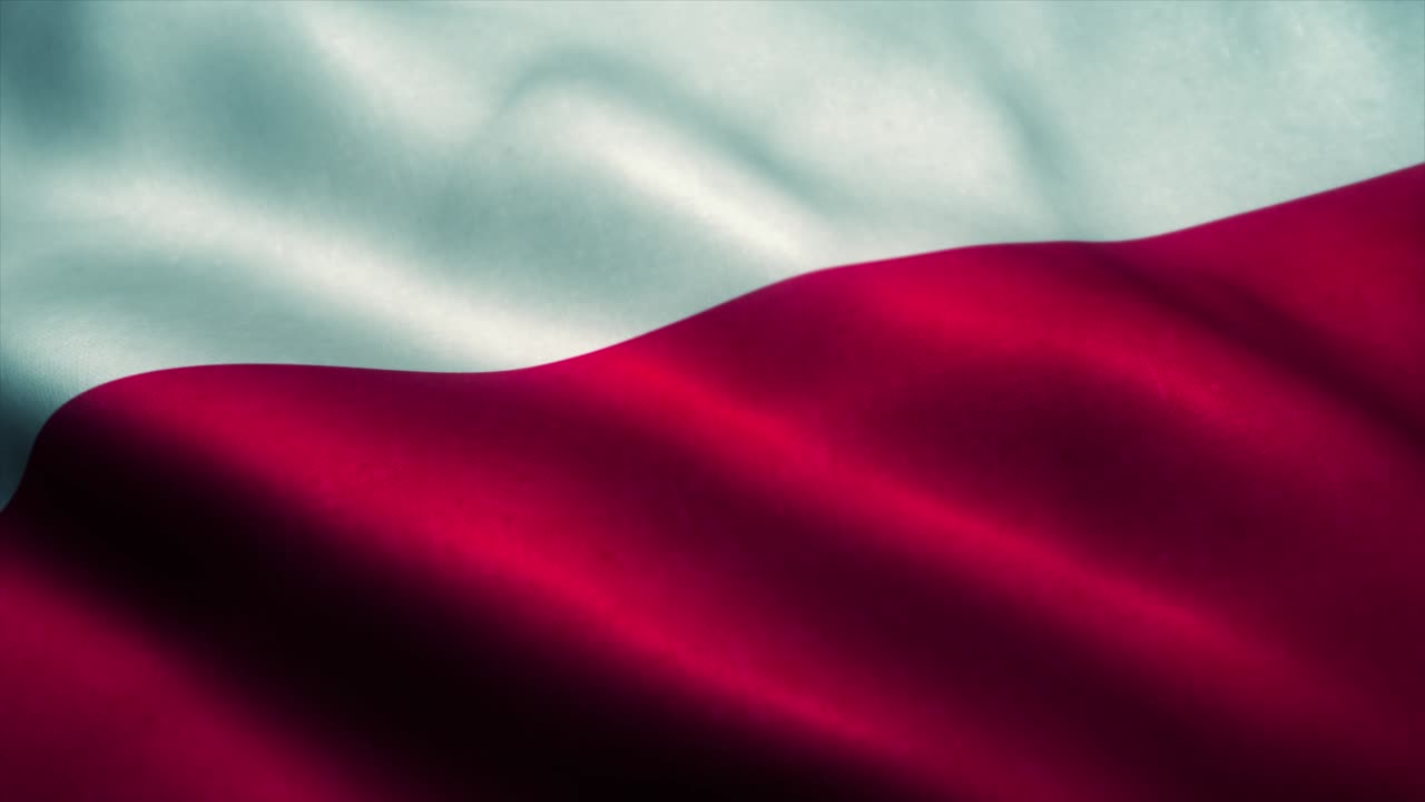 바람에 흔들리는 폴란드 발, 폴란드 국기, 폴란드의 상징, 시엄리스 루프 애니메이션