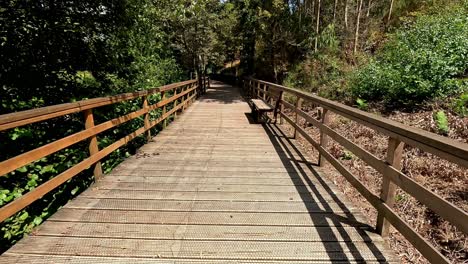 camino que corre sobre una plataforma de madera elevada en el suelo para facilitar el acceso para las personas que caminan, día soleado de verano, tiro viajando hacia adelante, órdenes, galicia, españa