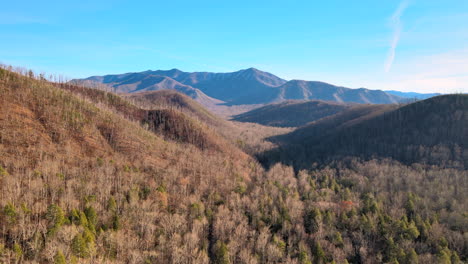 smokey mountains fly over trees