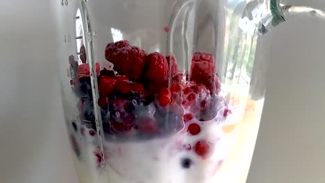 blending wild frozen berries with milk and honey in an electric blender into a smoothie